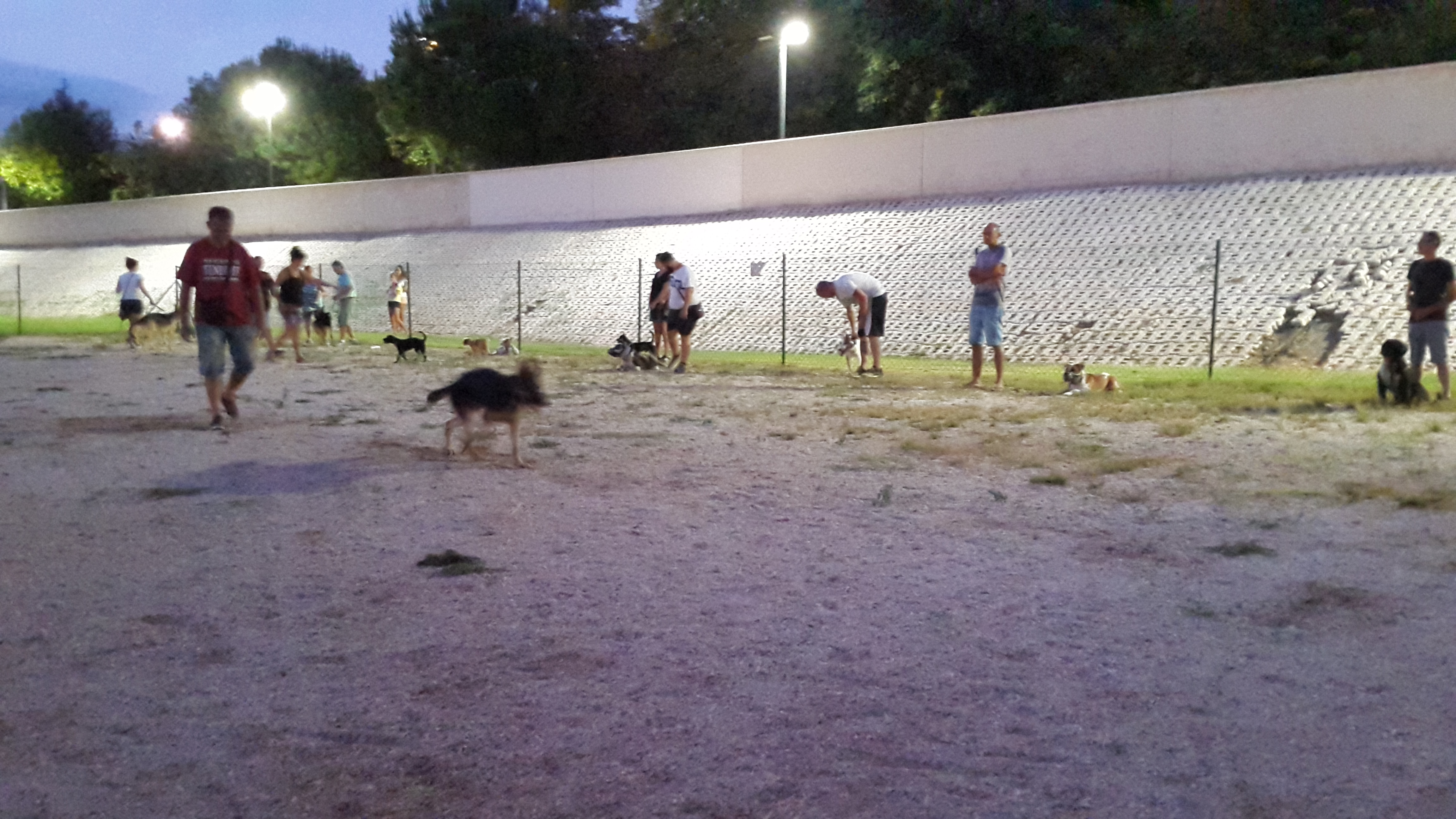 Adiestramiento canino para todas las razas Fuengirola (7)