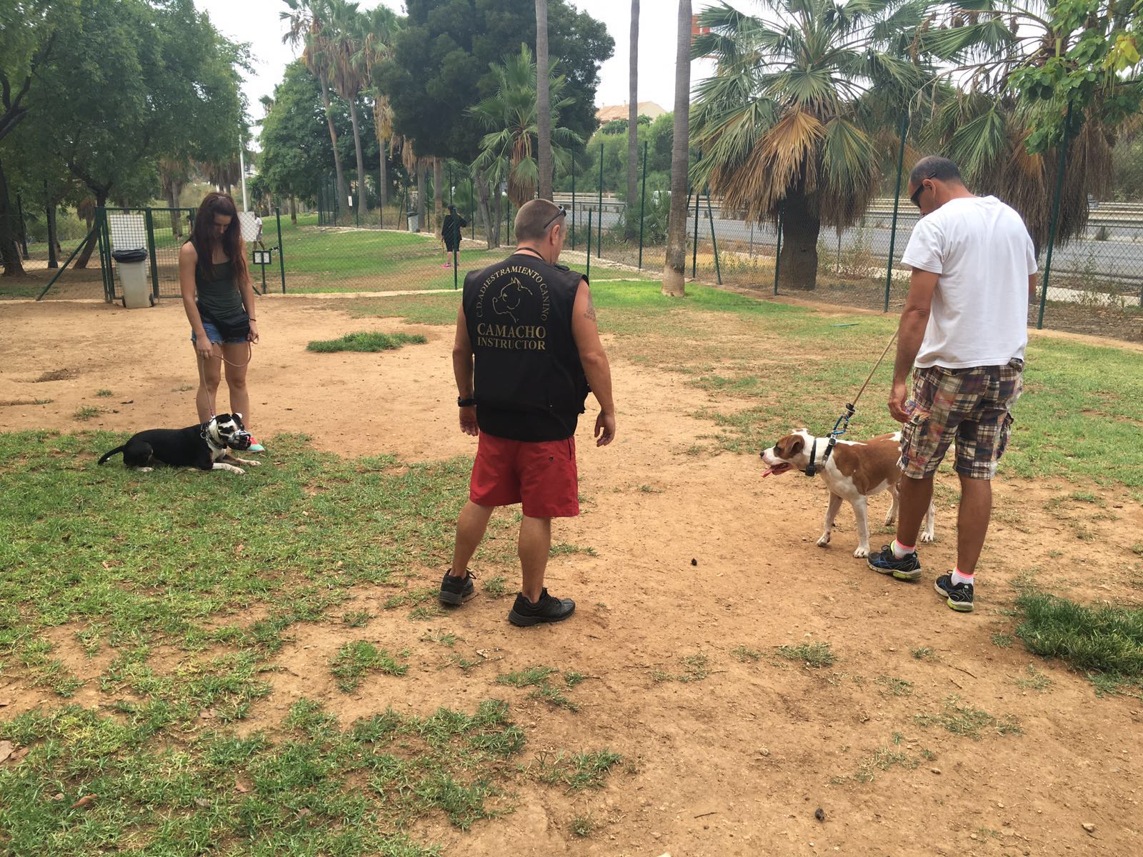Adiestramiento de perros de obediencia todas las razas Fuengirola, Mijas ybenalmadena (12)