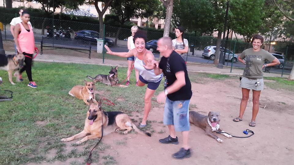 Adiestramiento de perros de obediencia todas las razas Fuengirola, Mijas ybenalmadena (2)