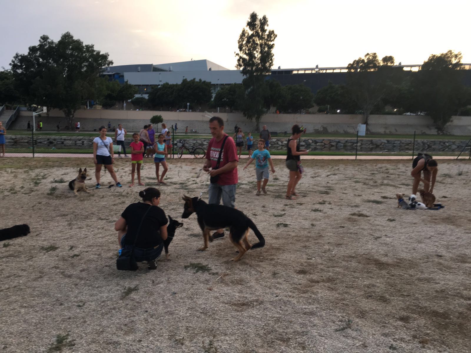 Adiestramiento de perros de obediencia todas las razas Fuengirola, Mijas ybenalmadena (20)