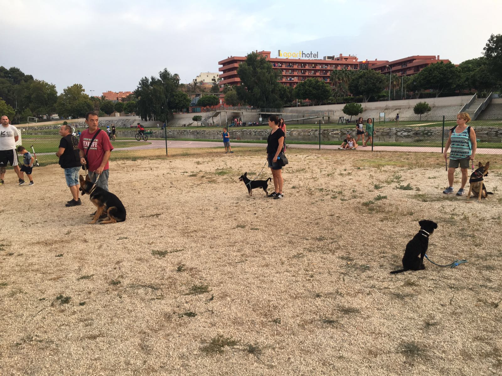 Adiestramiento de perros de obediencia todas las razas Fuengirola, Mijas ybenalmadena (21)