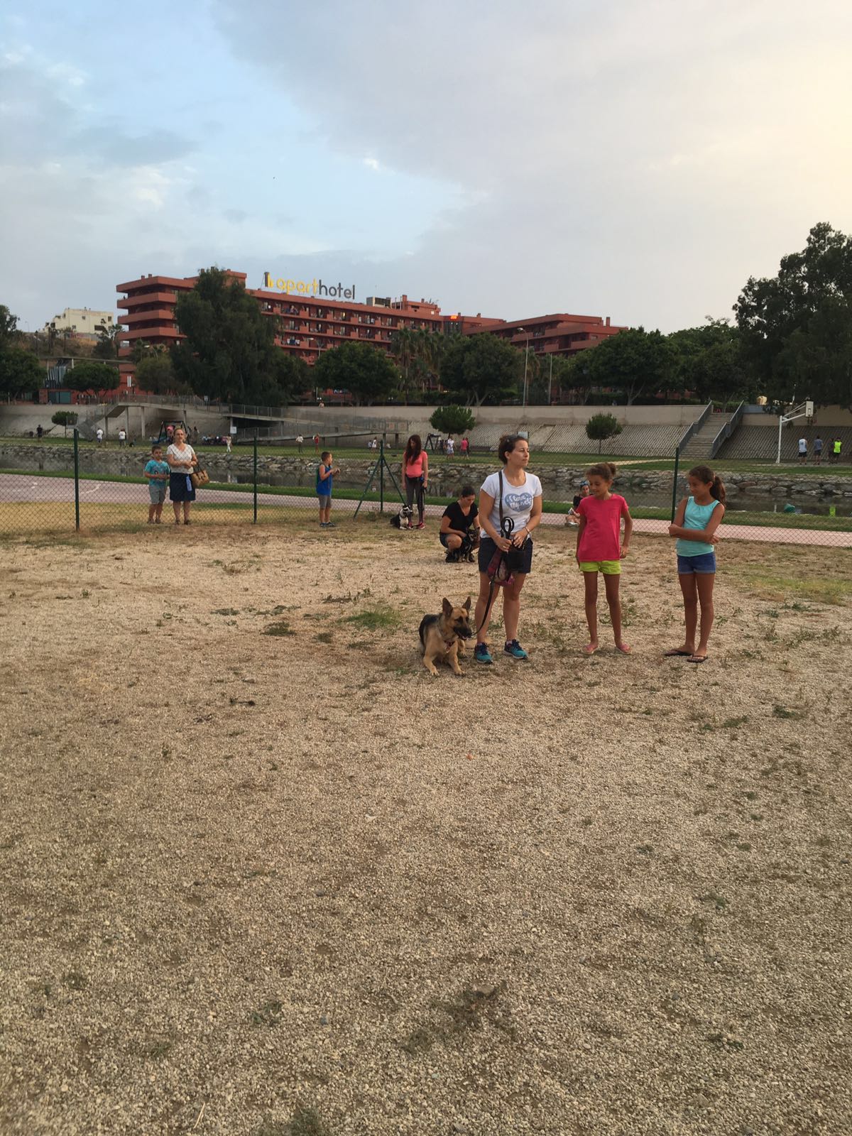 Adiestramiento de perros de obediencia todas las razas Fuengirola, Mijas ybenalmadena (22)