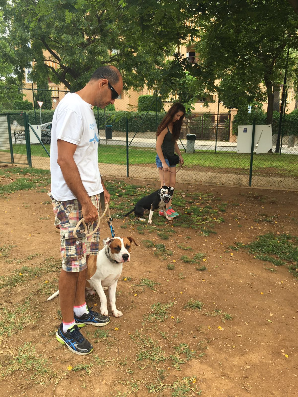 Adiestramiento de perros de obediencia todas las razas Fuengirola, Mijas ybenalmadena (30)