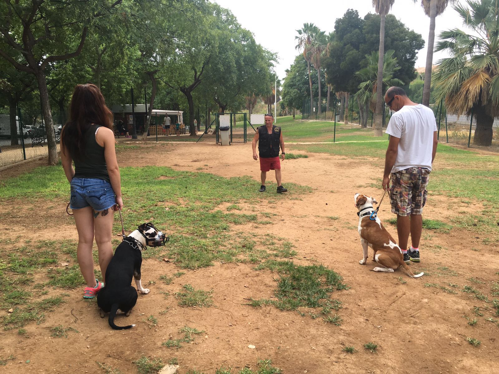 Adiestramiento de perros de obediencia todas las razas Fuengirola, Mijas ybenalmadena (31)