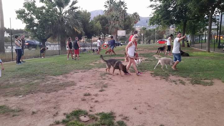 Grupos de Adiestramiento de obediencia para perros en toda la Costa del sol (1)