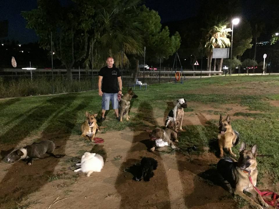 Grupos de Adiestramiento de obediencia para perros en toda la Costa del sol (4)