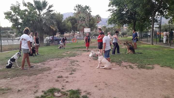 Grupos de Adiestramiento de obediencia para perros en toda la Costa del sol (8)
