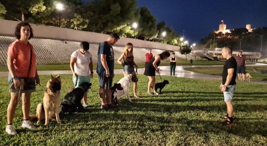 Adiestramiento canino en grupo para toda las razas y edades Fuengirola, Mijas- Benalmádena, Marbella y provincia de Málaga