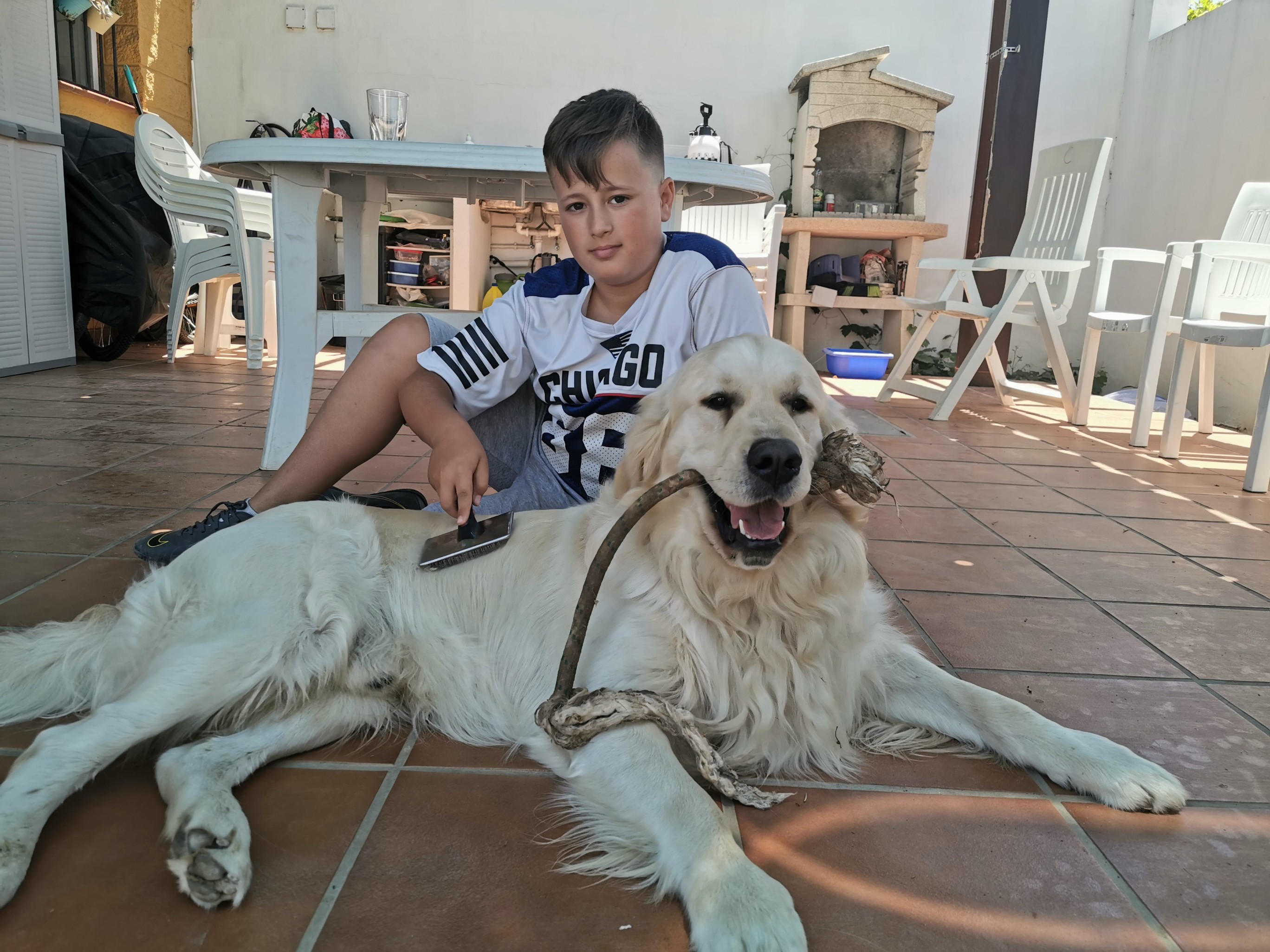 Adiestramiento canino Camacho Mijas, Fuengirola, Benalmádena, Marbella (1)