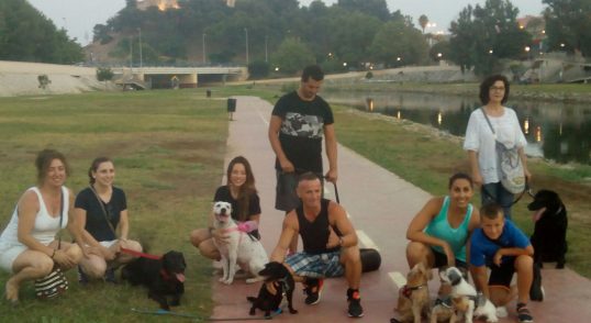Adiestramiento Canino en grupo de Obediencia para todas las razas, Fuengirora, Benalmadena, Mijas y priovincia de Malaga