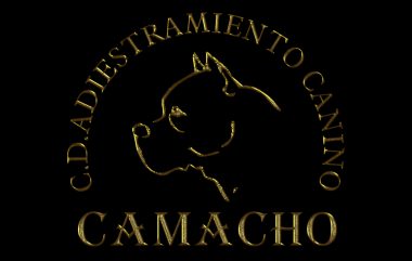 Servicios que ofrece nuestro Club Adiestramiento canino Camacho