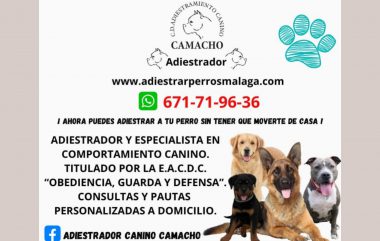 Adiestramiento Canino Camacho